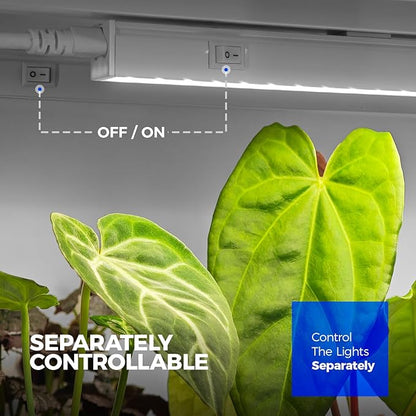 Barrina T5 Grow Lights for Indoor Plants, 2FT 40W (4 X 10W) LED Grow Light with Separate Switch, Linkable Grow Lamp, Indoor Plant Lights for Growth with White Cover, 5000K, 4 Packs