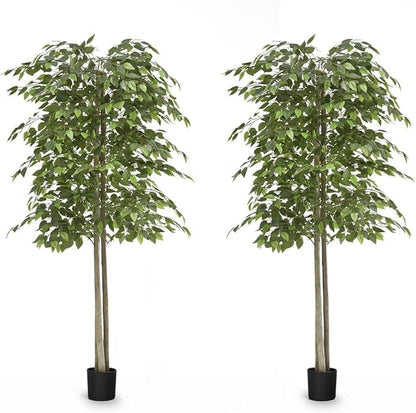 Maia Shop 2 Pack, 6ft Artificial Ficus Tree Plant for House, Apartment or Office – Realistic Fake Indoor Plants for Living Room, Kitchen, Bedroom, Entryway or Bathroom