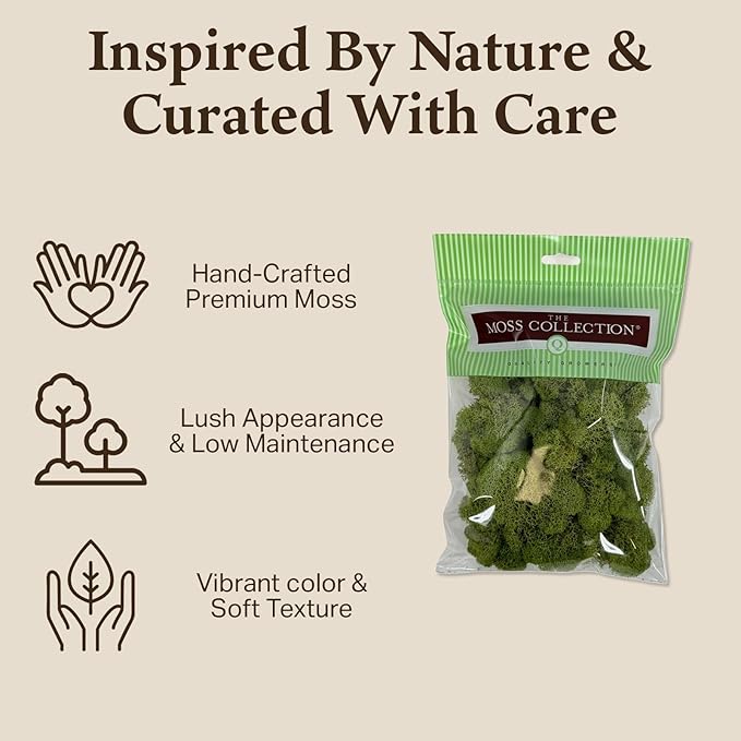 Preserved Reindeer Moss - Moss for Crafts, Home Decor, Art, Design & DIY Projects - Non-Toxic - USA Made (Spring Green, Small)