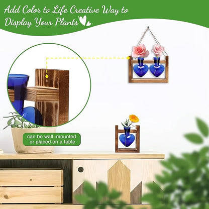 2+1 Plant Terrarium Plant Propagation Station Birthday Gifts for Women Home Office Decor with Wooden Stand