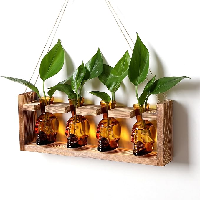 Plant Propagation Stations Halloween Skull Plant Terrarium Kit Glass Vases Gift for Father Air Planter Home Office Decor