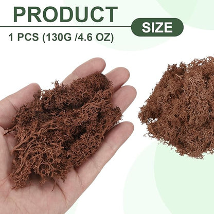 MECCANIXITY 4.6oz Preserved Reindeer Moss, Coffee Decorative Artificial Fake Moss for Potted Plants Indoor Crafts Lichen Centerpieces Decor