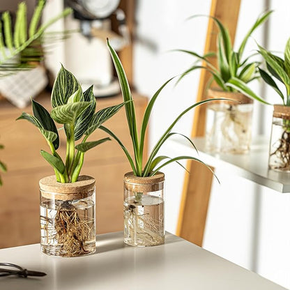 Glass Plant Propagation Stations for Plants – Set of 8(4 Large & 4 Small) Hydroponic Vases for Plant Cuttings,Flower Arrangements, Home & Office Decor–Desktop Vases for Living Room, Bedroom (8)