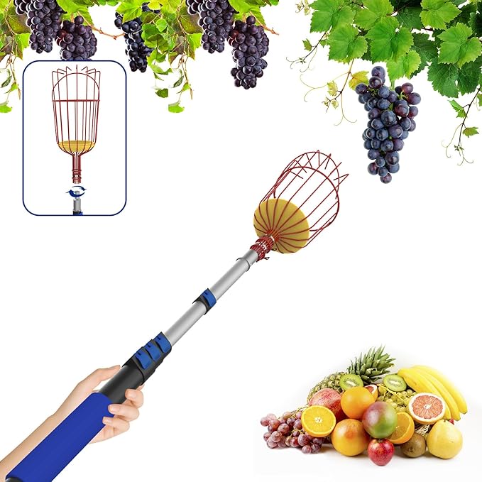 26FT Reach Fruit Picker Pole with Basket Telescoping, 5-20FT Extendable Aluminum Apple Picker for Picking Avocados, Figs, Mangoes, Citrus Fruits - Durable Harvesting Fruit Catcher for Trees