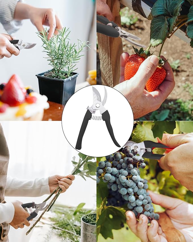 Pruning Shears for Gardening, 2 Pack Garden Scissors for Cutting Fresh Flowers, Floral Clippers for Plants, Fruits (Black)