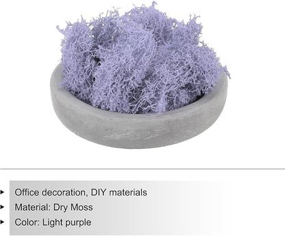 MECCANIXITY 3.5 OZ Moss Fake Craft Moss Artificial Moss Natural Preserved Moss for Craft Arts Floral DIY Project Wall Wedding Garden Patio Table Terrariums Decoration(Light Purple)