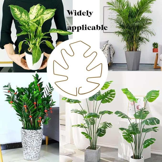 Spiritlele 5 Pcs Yellow Plant Stem Support Holder Set Monstera Plant Support Clamp Growth Accessories for Indoor Plants Big