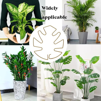 Spiritlele 5 Pcs Golden Plant Stem Support Holder Set Monstera Plant Support Clamp Growth Accessories for Indoor Plants Small