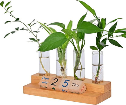 Plant Propagation Station with Block Calendar for Desk, Double-Layer Stand Design, More Stable Placement, Perfect Gardening Gifts for Plant Lovers Women (Dark Wood Color)