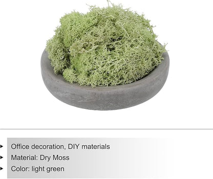 MECCANIXITY 3.5 OZ Moss Fake Craft Moss Artificial Moss Natural Preserved Moss for Craft Arts Floral DIY Project Wall Wedding Garden Patio Table Terrariums Decoration(Light Yellow Green)