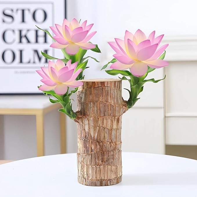 Brazilian Wood Plants,with Base and Mystery Doll Decorations, Easy to Plant in The Home Office to attracts Wealth,Lucky Wood Plant,Home Decoration