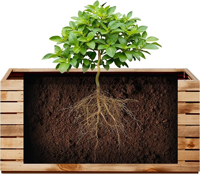 Rectangular Planters for Outdoor Plants, Large Planter Box with Drainage Holes, Metal Balck Palnters for Patio, Garden (32" L x 15" W x 16" H, Walnut Wood Grain)