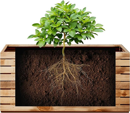 Rectangular Planters for Outdoor Plants, Large Planter Box with Drainage Holes, Metal Balck Palnters for Patio, Garden (32" L x 15" W x 16" H, Walnut Wood Grain)