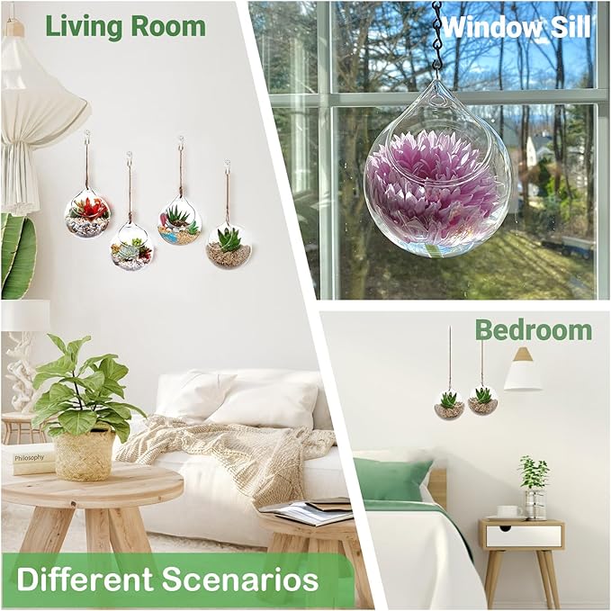 Propagation Station, Plants Terrarium, Plants Lover Gifts for Women,Plant Cutting Holder Home décor,Gifts for Women,House Warming New Home-3 Globe Shape