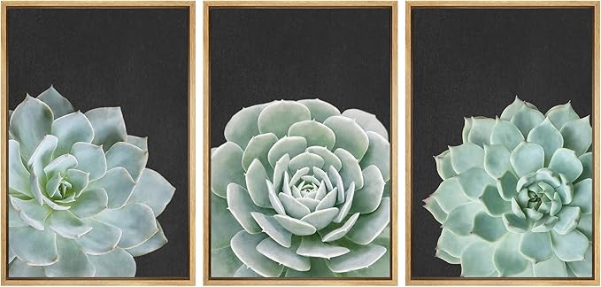 Ashbrook Framed Canvas Print Wall Art Set Green Desert Rose Cactus Succulents Nature Wilderness Photography Modern Art Minimal Chic Colorful for Living Room, Bedroom, Office - 16"x24"x3 Natural