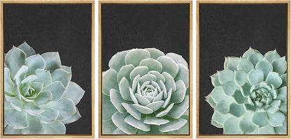Ashbrook Framed Canvas Print Wall Art Set Green Desert Rose Cactus Succulents Nature Wilderness Photography Modern Art Minimal Chic Colorful for Living Room, Bedroom, Office - 16"x24"x3 Natural