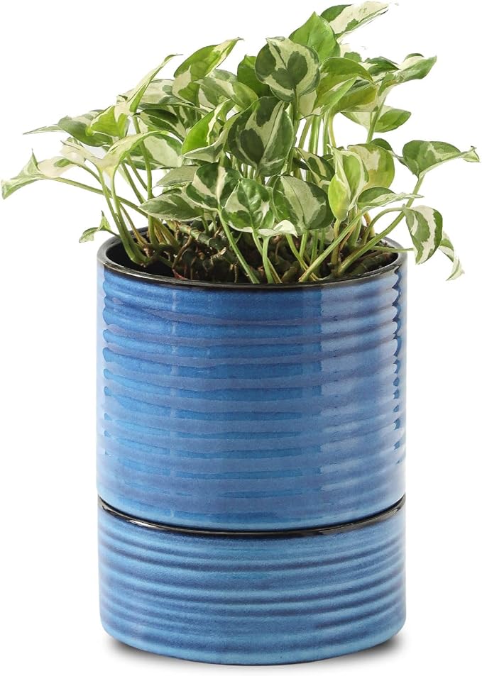 HASENSE Self Watering Pots for Indoor Plant, 6 Inch Porcelain Planter with Drainage Hole & Water Storage Plus for Indoor & Outdoor Plants, Round Flower Pot for Home Office Kitchen Decor, Blue