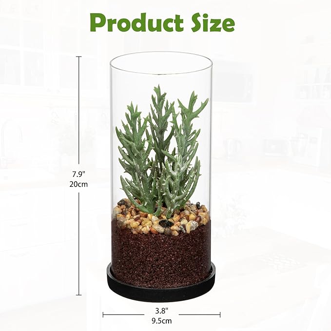 Artificial Succulent in Cylindrical Glass Vase Small Fake Senecio Plant with Modern Glass Terrarium Faux Plants Indoor Gift for Plant Lover Decor for Home Office Table Desk Shelf