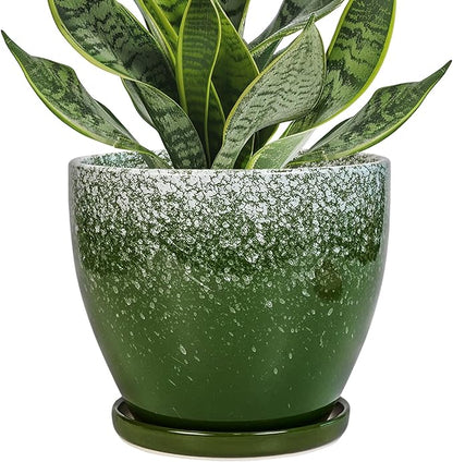 Ceraimc Plant Pot - 6.3 Inch Planter with Drainage and Plant Tray, Round Succulent Planters, Decorative Flower Pot for Indoor, Room Office Patio House Decor, Gifts for Women Men, Green