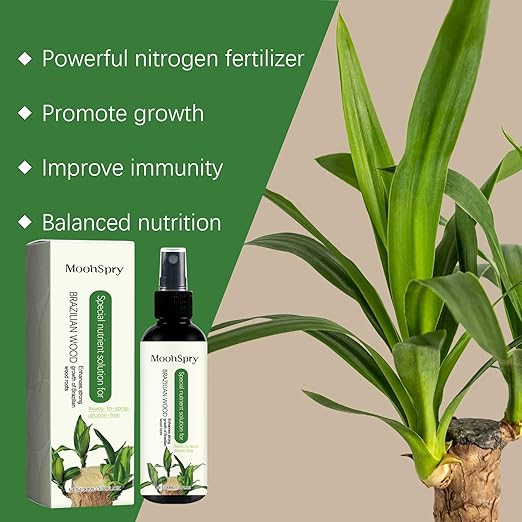 MoonSpry Brazilian lucky wood plant food, lucky bamboo liquid fertilizer,brazilian wood indoor houseplant fertilizer,bamboo indoor plant food,Fertilizantes de brasileña y árbol de la suerte,2pcs*100ml