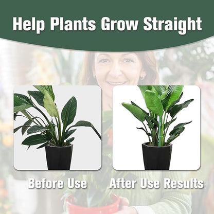 Monstera Plant Support Stakes, Plant Stakes for Indoor Potted Plants, Stackable Moss Pole Support for Climbing Garden Plants (15 pcs)