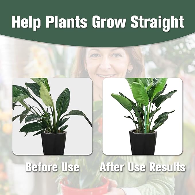 10pcs Stackable Monstera Plant Support Stakes for Indoor and Outdoor Plants, Garden Accessories for Climbing Potted Plants, Ideal for Vine Training and Stem Stabilization