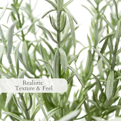 CG Hunter Faux Rosemary Plant & Olive Topiary, Set-of-2 Premium Artificial Indoor Plants, Enhances Interior Design, Lifelike-Leaves Create Realistic Natural Appearance, Grey Planter Pot Included