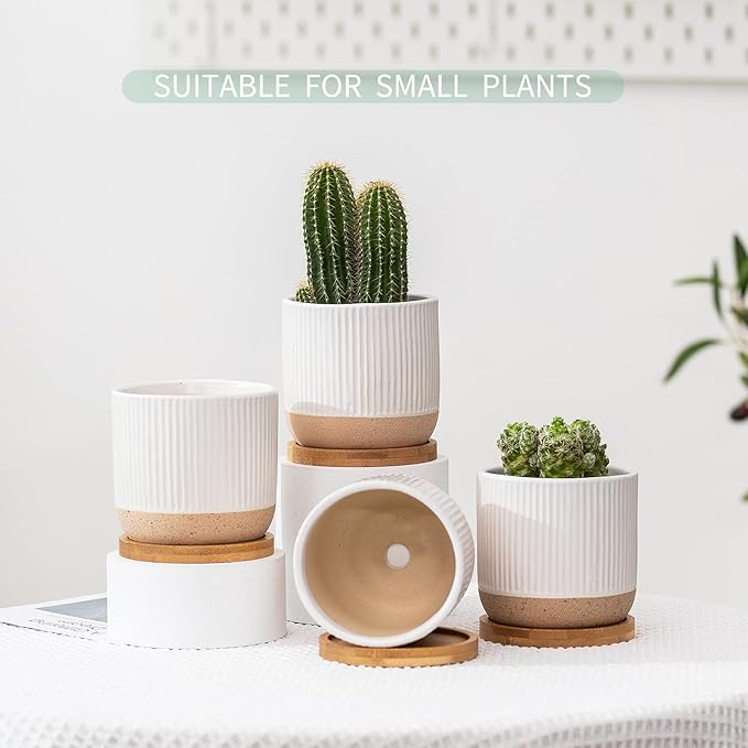 4 Inch Ceramic Plant Pots with Drainage Holes and Trays, Modern Small Minimalist Flower Planter Pot with Saucers for Indoor Plants, Succulent, Snake Plants, Cactus & Herbs, White, Set of 4
