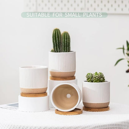 4 Inch Ceramic Plant Pots with Drainage Holes and Trays, Modern Small Minimalist Flower Planter Pot with Saucers for Indoor Plants, Succulent, Snake Plants, Cactus & Herbs, White, Set of 4
