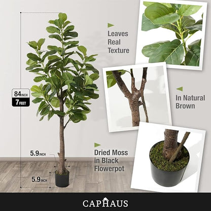 CAPHAUS Artificial Fiddle Leaf Fig Tree, 6/7 Feet in Pot with Dried Moss, for Indoor House Home Office Store, Potted Ficus Lyrata Faux Tree, Fake Plant Modern Decoration Gift for Housewarming