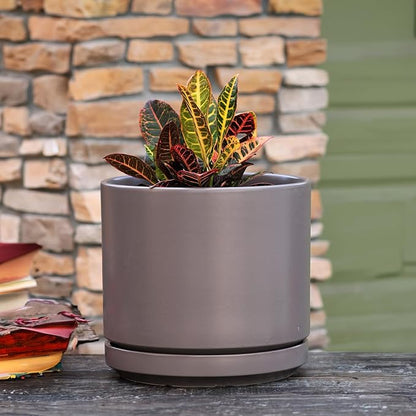 PLANTATOREM Ceramic 12 Inch Mid Modern Planter Pot with Drainage Hole and Saucer, Indoor Cylinder Round Flower Pot, Perfect for Planting Succulents, Herbs, Flowers, House Plants, Pastel Taupe