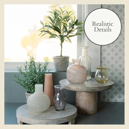 CG Hunter Faux Rosemary Plant & Olive Topiary, Set-of-2 Premium Artificial Indoor Plants, Enhances Interior Design, Lifelike-Leaves Create Realistic Natural Appearance, Grey Planter Pot Included