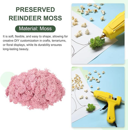 MECCANIXITY 3oz Preserved Reindeer Moss, Pink Decorative Artificial Fake Moss for Potted Plants Indoor Crafts Lichen Centerpieces Decor