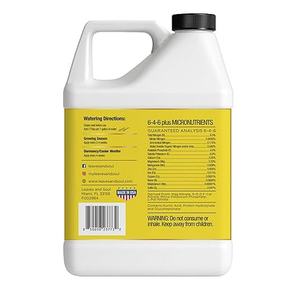 Leaves and Soul Professional Banana Tree Fertilizer Liquid Concentrate - 6-4-6 Blend for Fruit Tree Fertilizer, Garden - Liquid Plant Food for Banana Trees in Pots or Outdoors - 32oz