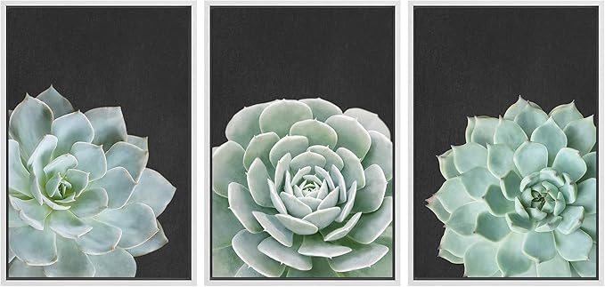 Ashbrook Framed Canvas Print Wall Art Set Green Desert Rose Cactus Succulents Nature Wilderness Photography Modern Art Minimal Chic Colorful for Living Room, Bedroom, Office - 24"x36"x3 White