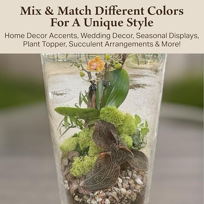 Preserved Reindeer Moss - Moss for Crafts, Home Decor, Art, Design & DIY Projects - Non-Toxic - USA Made (Spring Green, Standard Box)