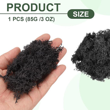MECCANIXITY 3oz Preserved Reindeer Moss, Black Decorative Artificial Fake Moss for Potted Plants Indoor Crafts Lichen Centerpieces Decor