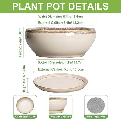 SQOWL Small Bonsai Pots - 6 Inch Ceramic Plant Pots for Succulents, Shallow Planter with Drainage Hole and Saucer, Round Planters for Indoor Outdoor Cactus Plants, House Decor, Birthday Gifts, Beige