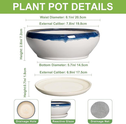 SQOWL Bonsai Pots Ceramic - 8 Inch Succulent Planters Indoor, Succulent Pot with Drainage Hole and Tray, Shallow Ceramic Plant Pot Outdoor, Round Bowl Planter, Porch Decor, Gardening Gift, Blue-Beige