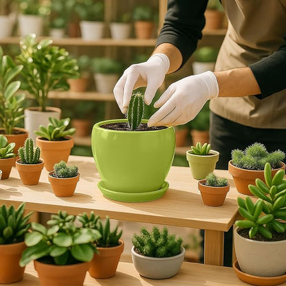 Deep Dream 6 Inch Plant Pots- Ceramic Planter Pot with Drainage Hole and Saucer, Round Flower Pot for Indoor Outdoor Succulent, Snake Plants and Cactus, Mint Green
