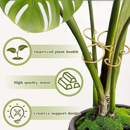 6 Pcs Plant Stem Support, Metal Monstera Plant Support Climbing Plant Stem Holder for Indoor Plant Care Stabilization and Support