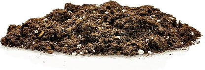 GARDENERA Money Tree Potting Soil Mix for Planting or Repotting Guiana Chestnut, Soil Blended to Properly Grow Money Tree Plants - (1 Quart Bag)