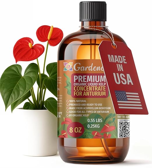 GARDENERA Premium Organic Seaweed & Kelp Superfood for ANTHURIUM Plants - 8 oz - Liquid Kelp Fertilizer Concentrate (Makes 45 Gallons)