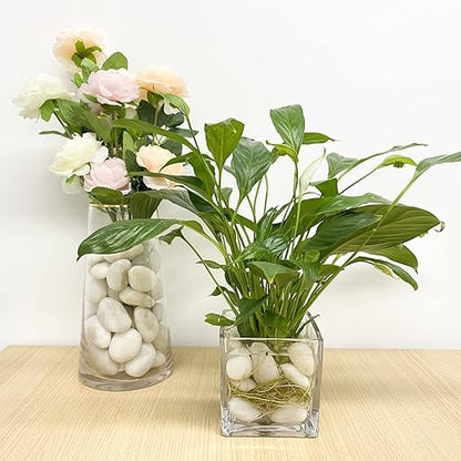 10 lbs White River Rocks, 1-2 Inch Polished Pebbles for Indoor Plants, Decorative White Stones for Plants, Vase, Aquarium, Fish Tank, Landscaping and Garden