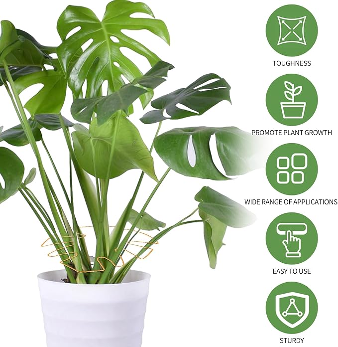 Spiritlele 5 Pcs Yellow Plant Stem Support Holder Set Monstera Plant Support Clamp Growth Accessories for Indoor Plants Big