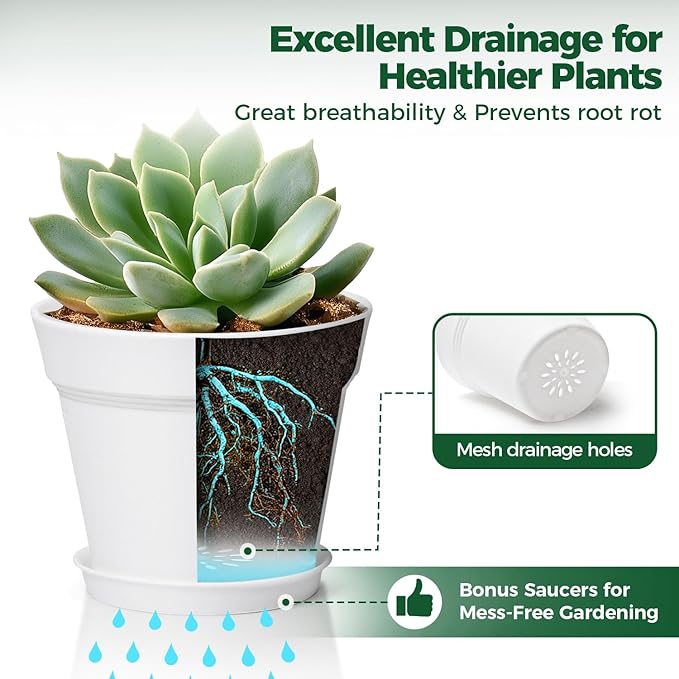 T4U 6 Inch Plant Pot 8-Pack, Plastic Planter with Drainage Hole and Saucer, Decorative Nursery Pots Bulk for African Violet, Snake Plant, Succulent, Herb and Plants Indoor (8 Pcs 6" Pots, White)
