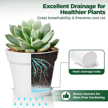 T4U 4 Inch Plant Pots 8-Pack, Small Flower Pots with Drainage Hole and Saucer, Decorative Nursery Pot Bulk for African Violet, Snake Plant, Succulent, Herb and Plants Indoor (8 Pcs 4" Pots, White)