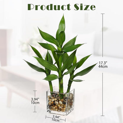 Artificial Lucky Bamboo Plant 17.3 Fake Plant in Rectangular Glass Pot for Centerpiece Table Decorations Farmhouse Wedding Home Greenery Decor