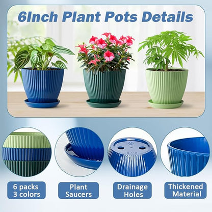 6 Inch Plant Pots, Plastic Flower Pots for Indoor Outdoor Plants, Planters with Drainage Holes and Tray Saucers, Cute Succulent Pots Durable and Light Weight (6 Pack)