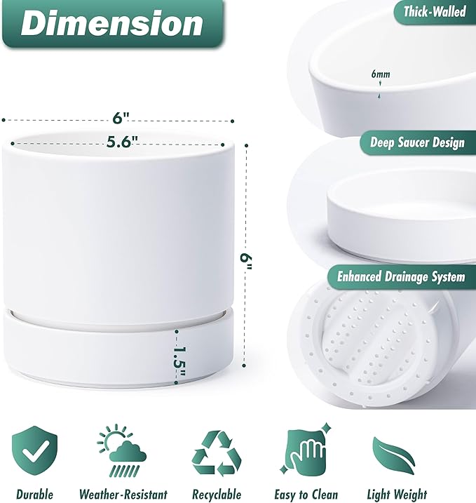Phoenix Vine 6 Inch Planter Pot with Drainage Hole & Saucer, Deep Water Catch Tray, Straight Cylindrical Round Pot for Plants, Matte White, Pack of 3, 23-B-S-3